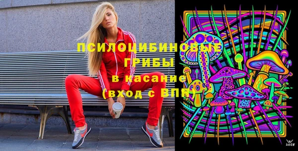 гидра Майский