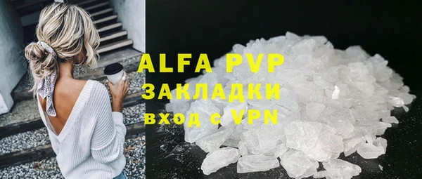 гидра Майский