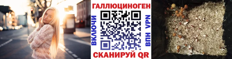 darknet состав  Элиста  Галлюциногенные грибы MAGIC MUSHROOMS  наркошоп 